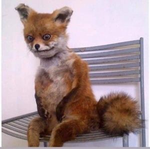 Meet your Posher, Jose